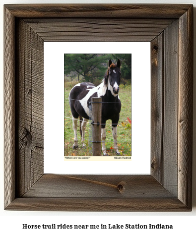 horse trail rides near me in Lake Station, Indiana